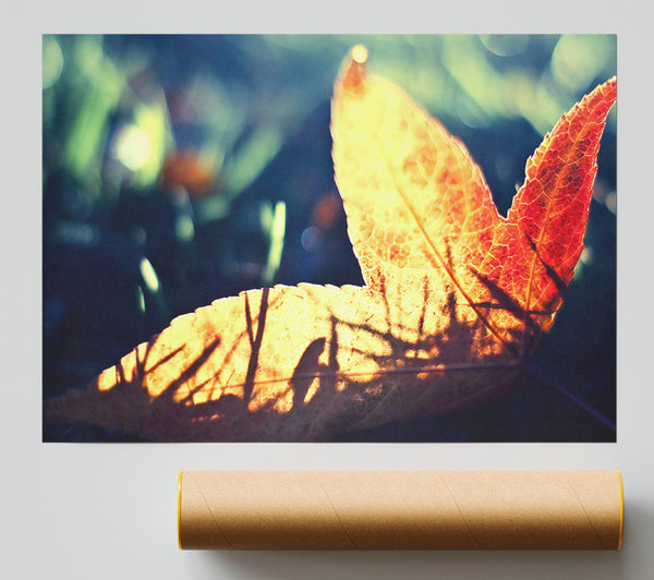 Fallen Leaf Print