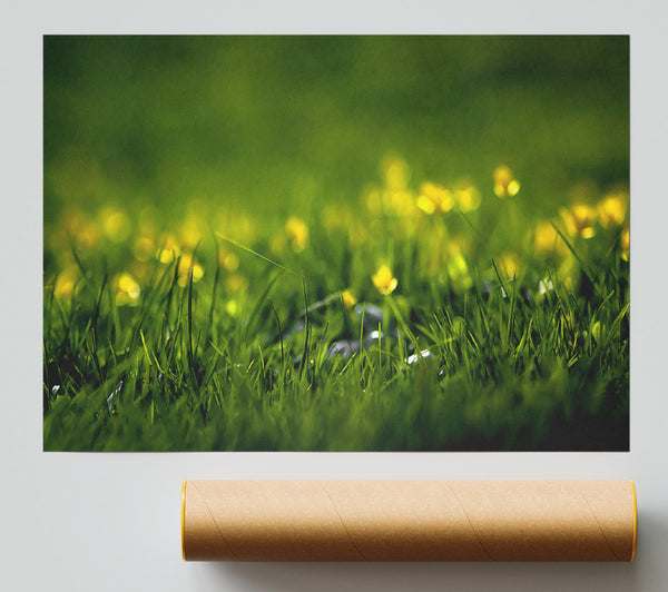 Summer Grass Print