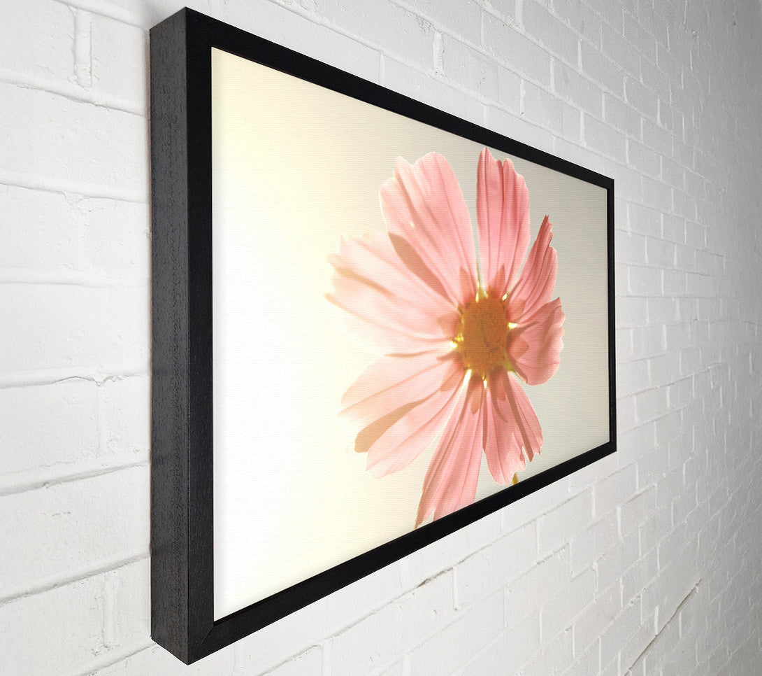  A Canvas Print of Summer Sun Canvas Wall Art