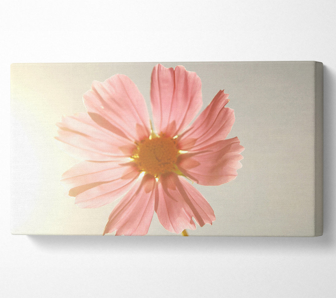  A Canvas Print of Summer Sun Canvas Wall Art