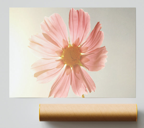 Summer Sun Poster