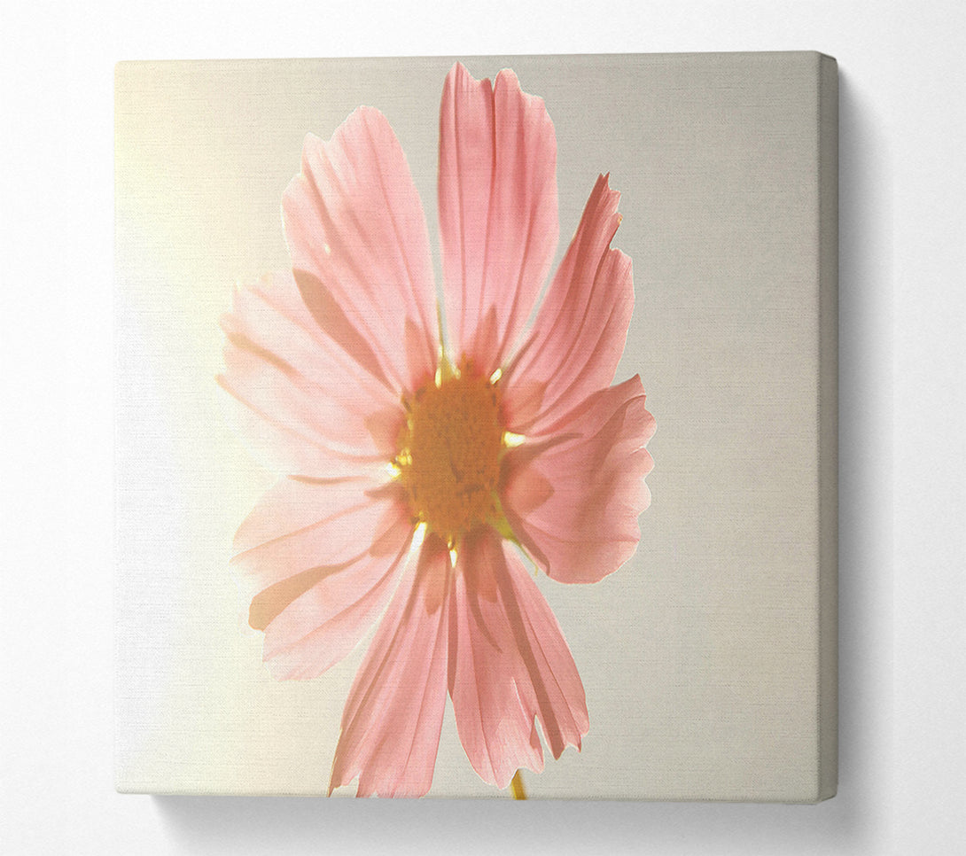  A Canvas Print of Summer Sun Canvas Wall Art