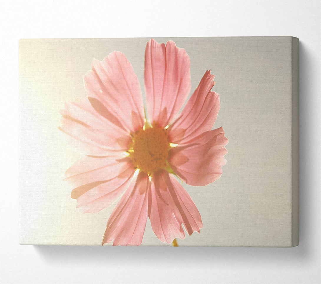  A Canvas Print of Summer Sun Canvas Wall Art