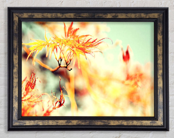 Fall Is But A Dream Framed Print