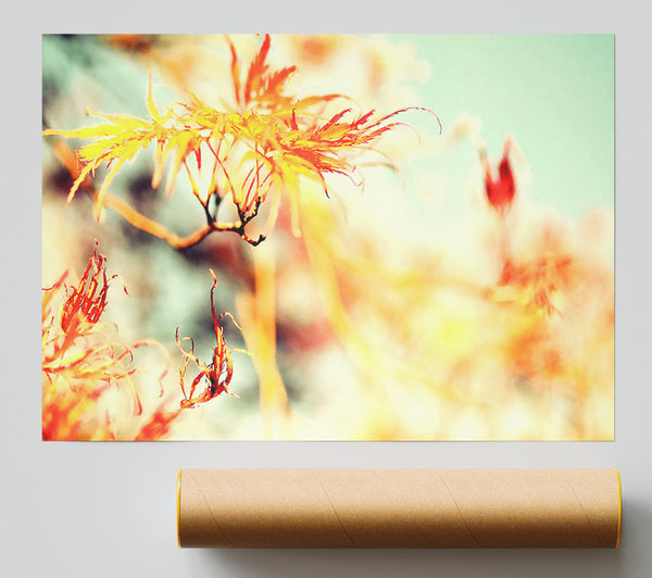 Fall Is But A Dream Poster