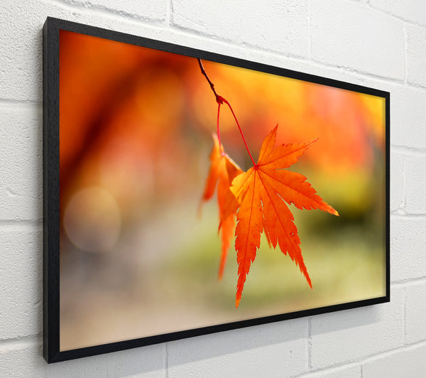 Orange Leaves Sparkle