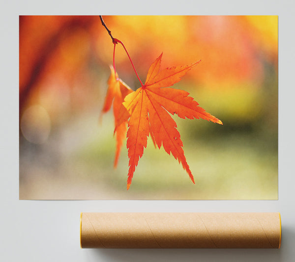 Orange Leaves Sparkle Giclee Print