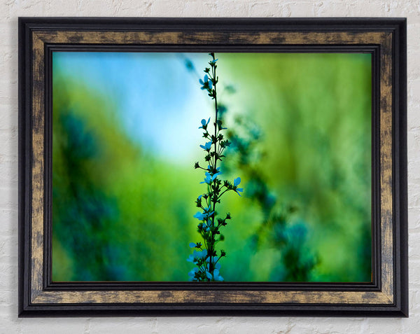 Blossom Blue Flower Framed Print
