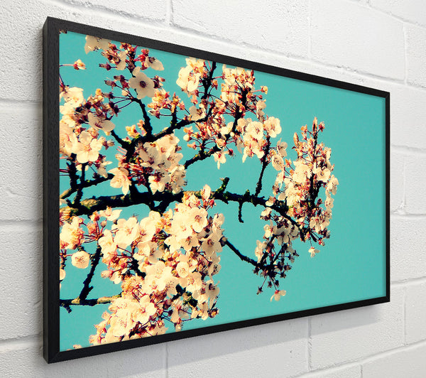 Blossom Tree Against A Blue Sky