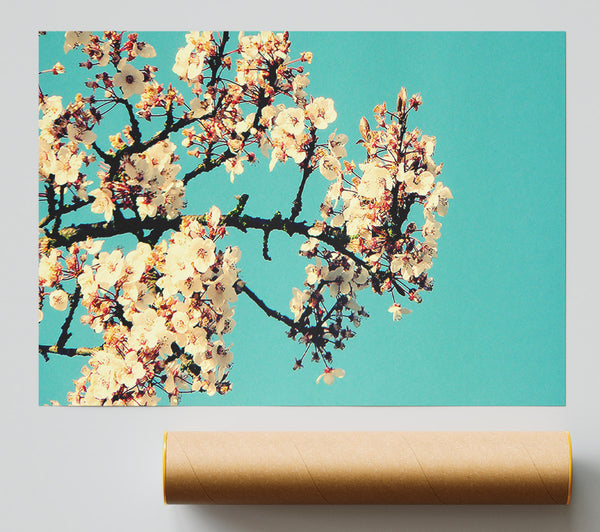 Blossom Tree Against A Blue Sky Giclee Print