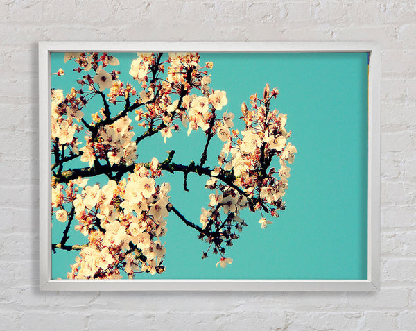 Blühender Baum vor blauem Himmel