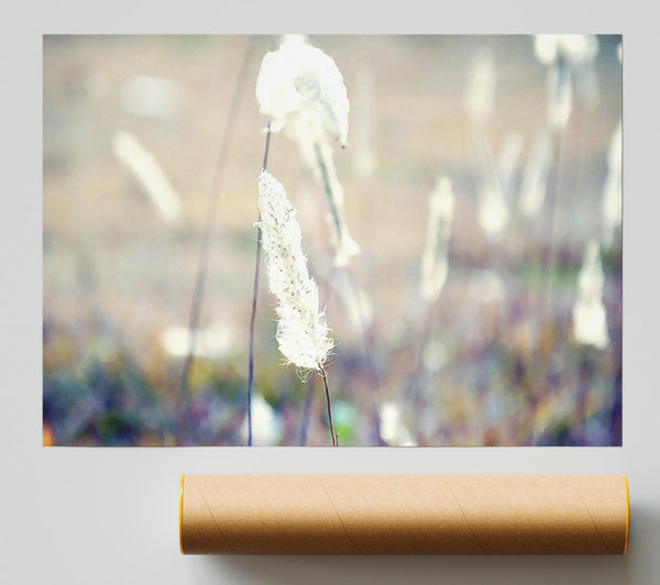Grass Fluff Summer Print