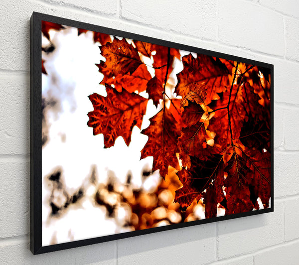 Reddish Brown Leaves