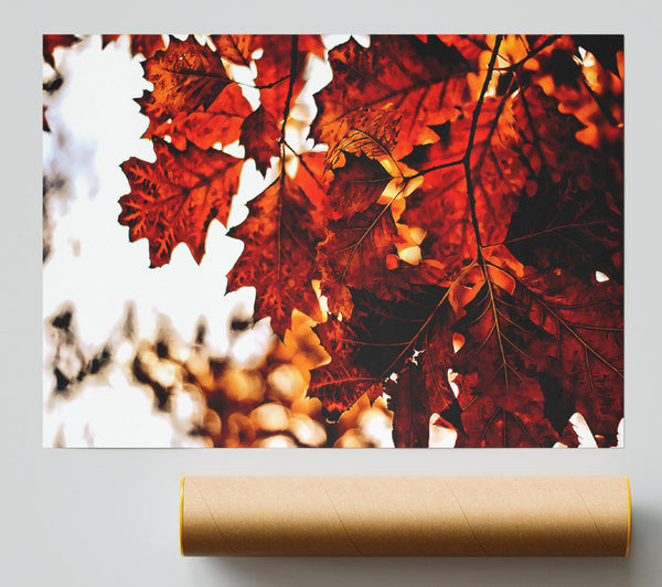 Reddish Brown Leaves Print