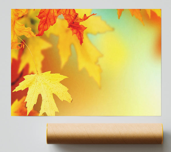 Yellow Autumn Leaves Macro Print