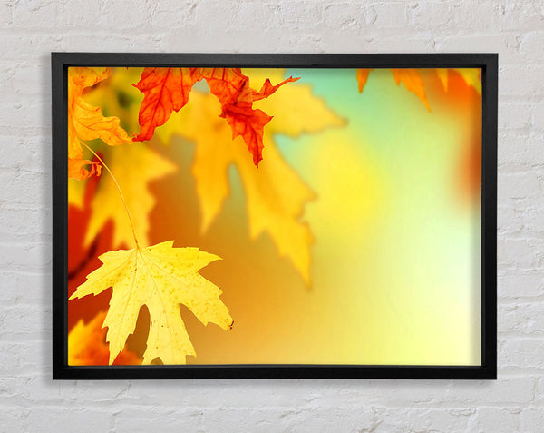 Gelbe Herbstblätter Makro