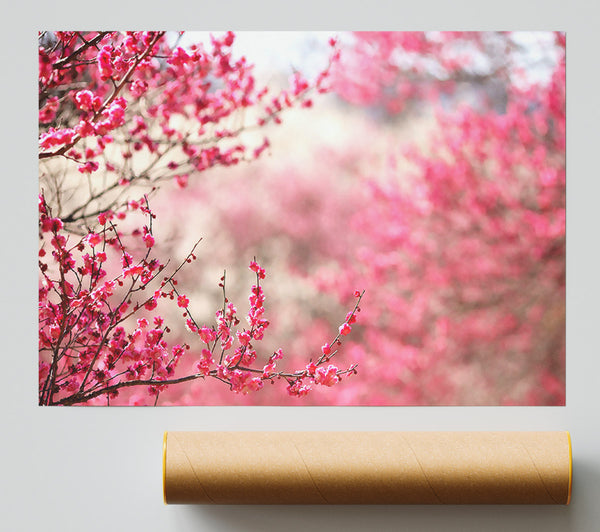 Spring Signs Giclee Print