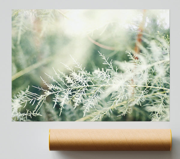 Winter Snow Leaves Poster