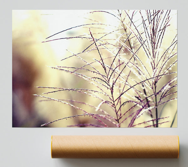 Wildflowers In The Sunlight Giclee Print