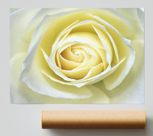 Delicate Elegance Poster