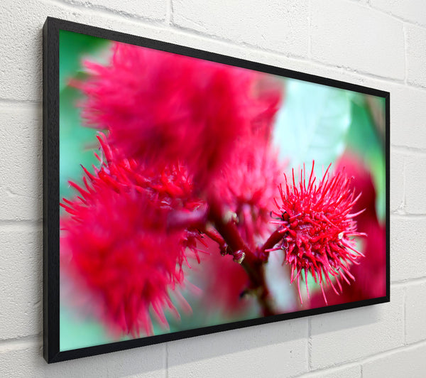 Spikey Flower Heads