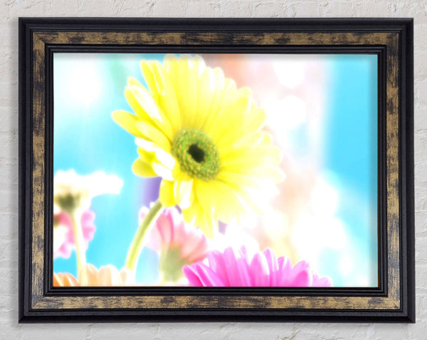 Colourful Summer Rainbow Flowers Framed Print