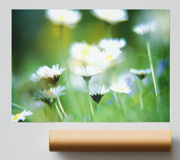 Blurry Daisies Print