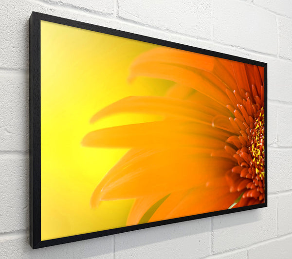 Orange Flower Mist