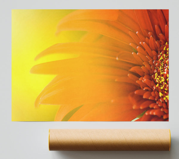 Orange Flower Mist Poster