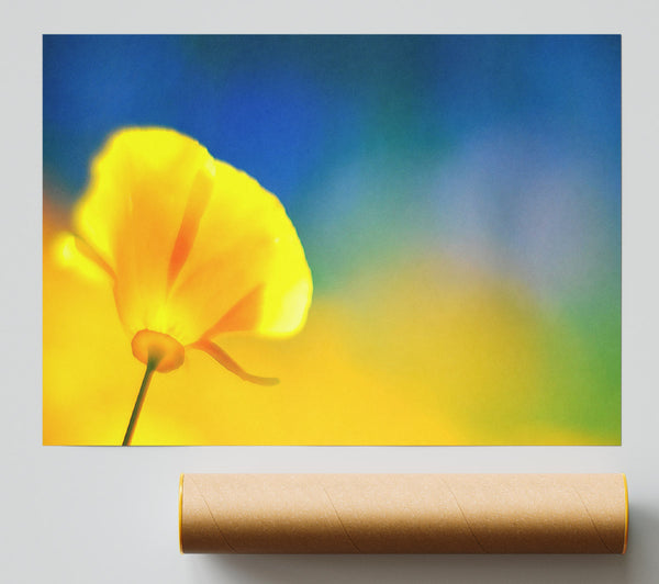 California Poppy Yellow Print