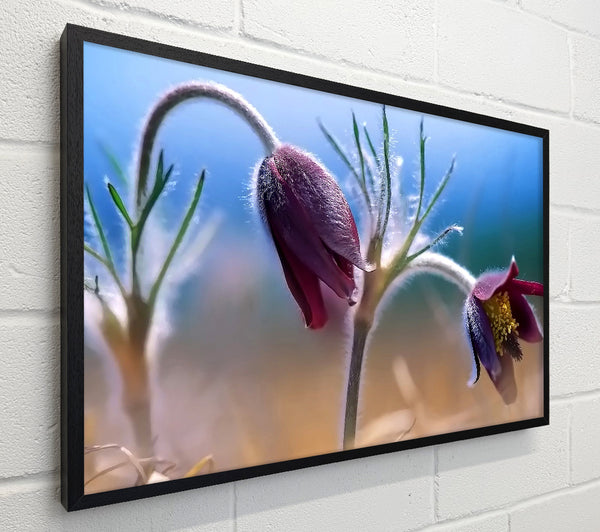 Wildflowers Blooming