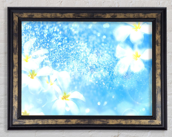 Plumeria Blue Framed Print