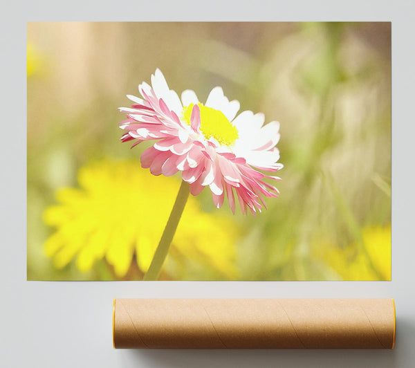 Beautiful Summer Pink Flower Print