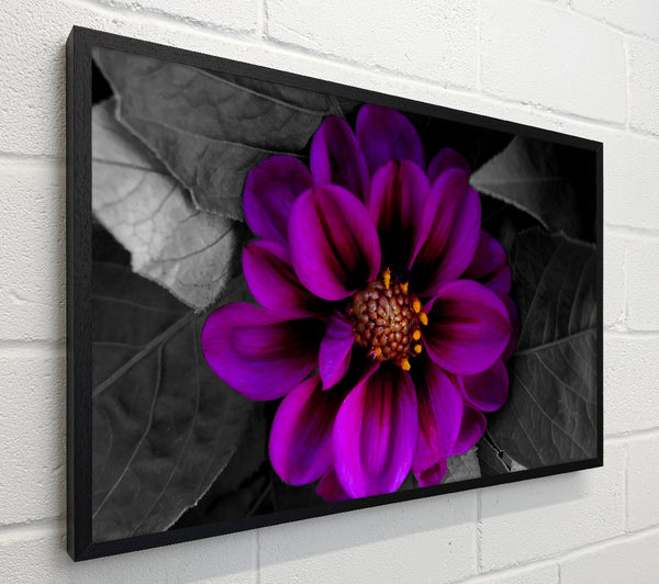 Fall Flower