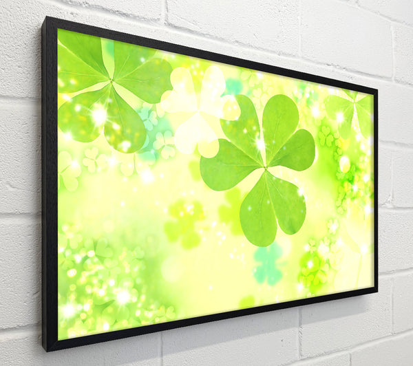 Magic Clover