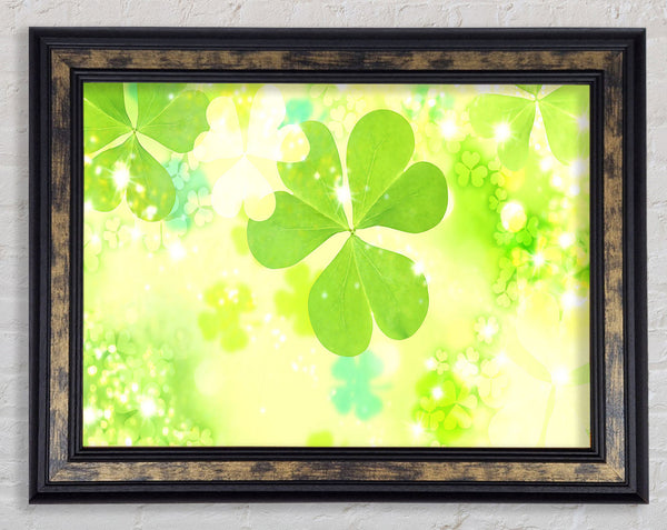 Magic Clover Framed Print