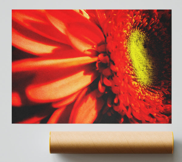 Close-Up Of A Gerbera Giclee Print