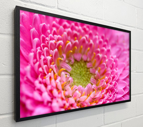 Pink Flower Centre