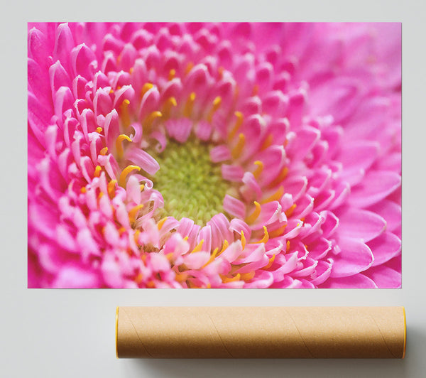 Pink Flower Centre Poster