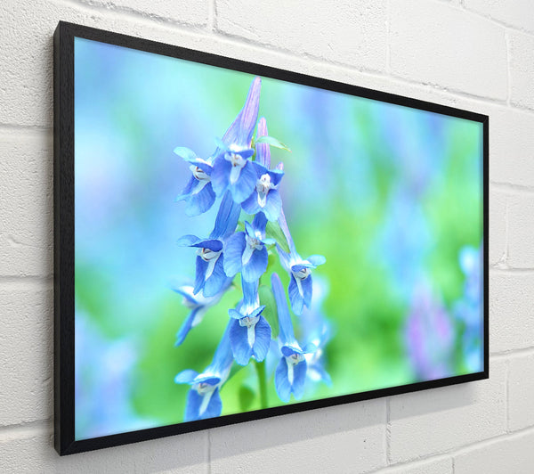 Soft Focus Small Blue Flowers