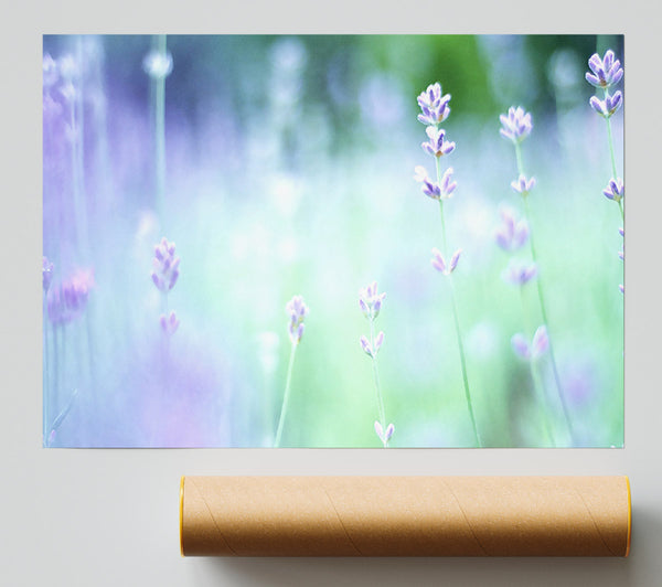 Soft Focus Small Purple Flowers Print