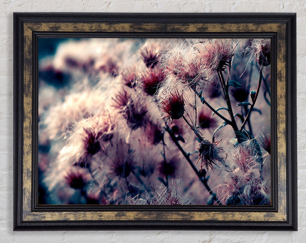 Cotton Buds Framed Print