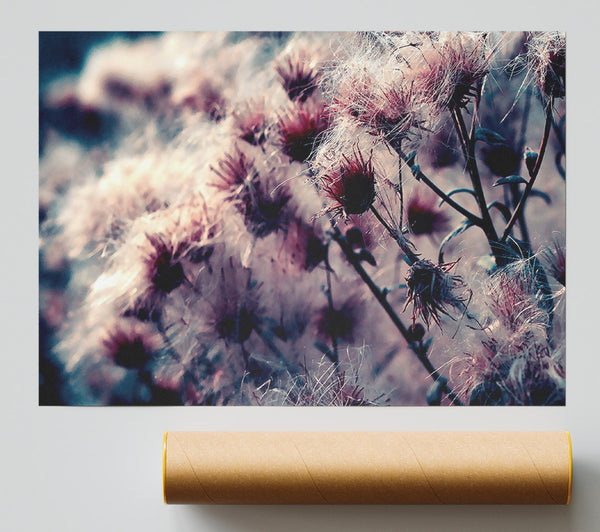 Cotton Buds Giclee Print