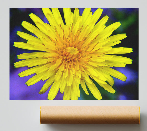 Yellow Wildflower Giclee Print