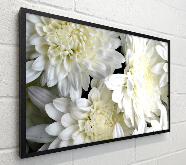 White Flowers
