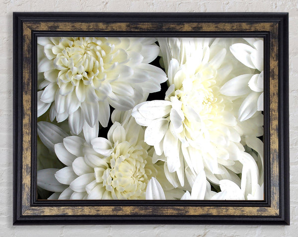 White Flowers Framed Print