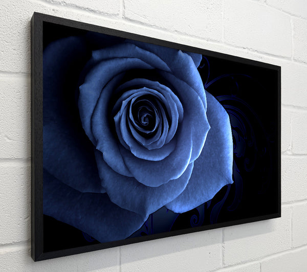 Blue Rose On Black