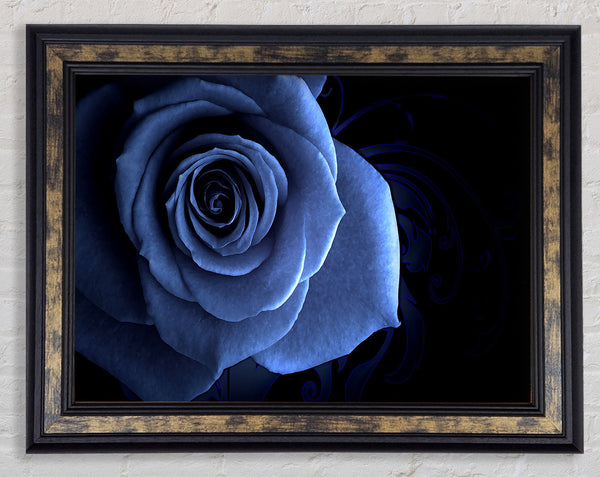Blue Rose On Black Framed Print