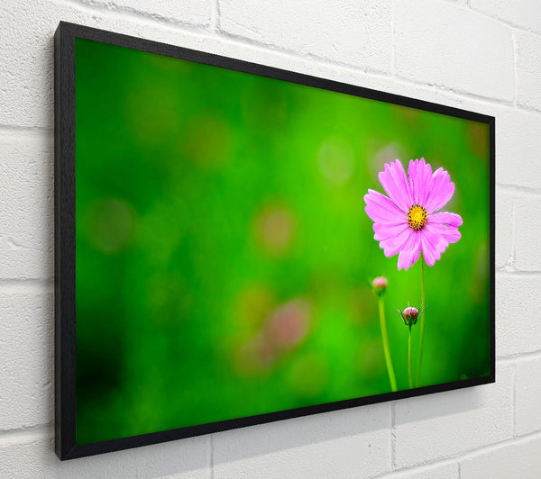 Pink Flower Green Background
