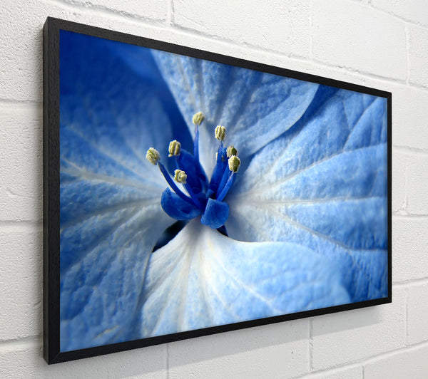 Soft Blue Flower